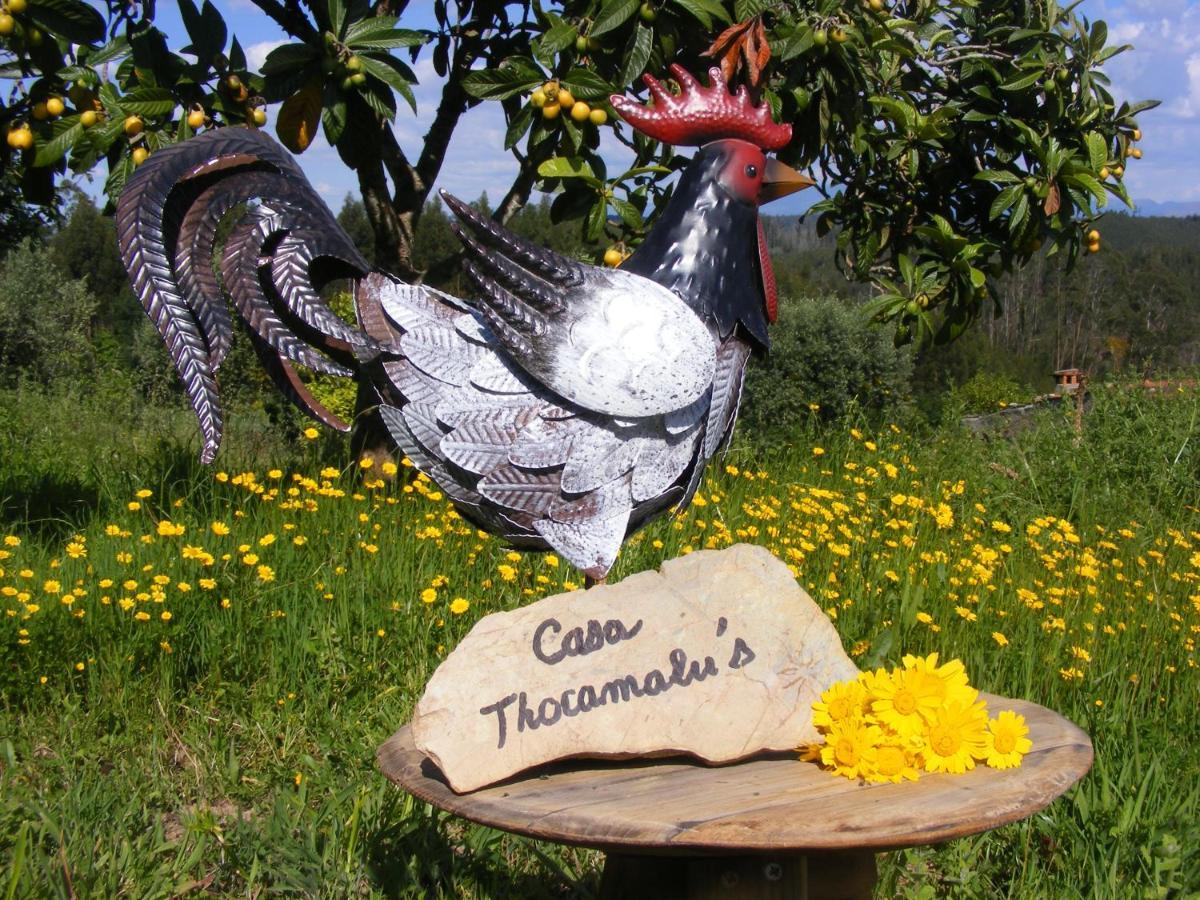 Casa Thocamalu'S Lägenhet Covelo  Exteriör bild